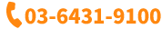 03-6431-9100